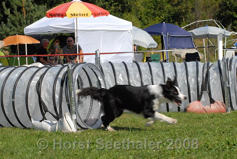 agistaats08 (101).JPG